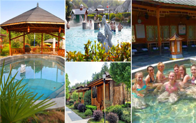 银杏舞,醉深秋|送您最新赏杏精品自驾游线路!