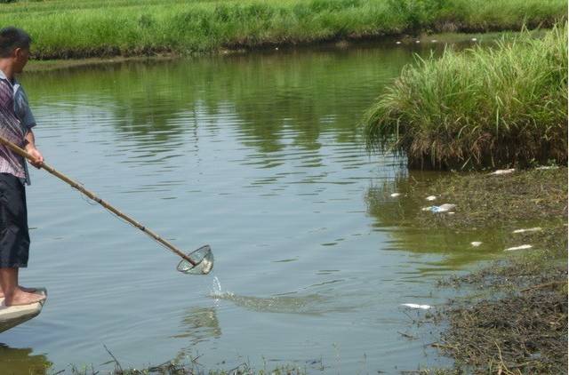 鱼类传染性疾病的防治方法,传染性鱼病的治疗方法