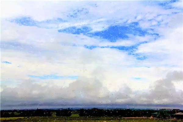 活动回顾|欧帝亿主题狗狗巴士察哈尔草原深处探秘万年火山