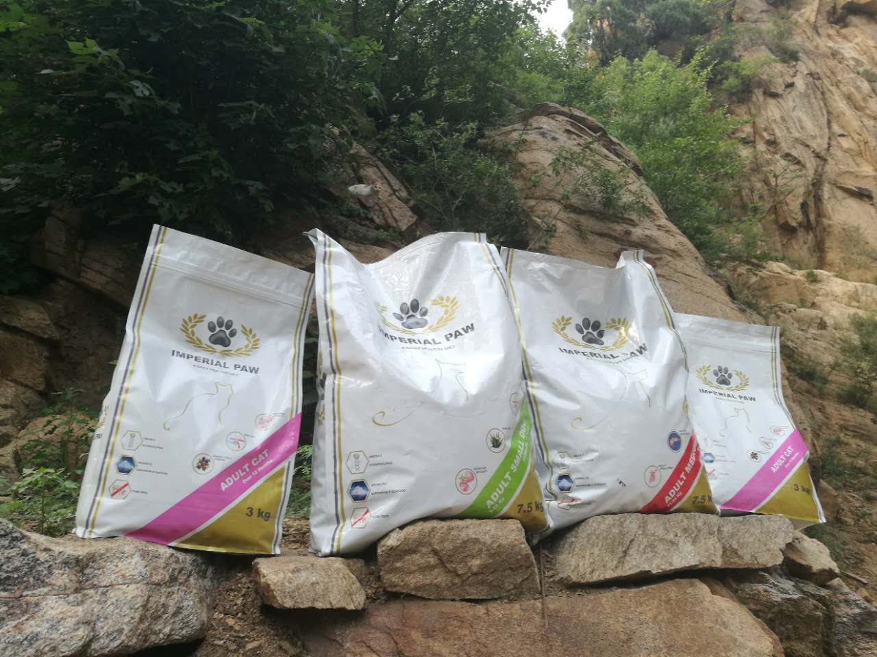 活动回顾｜随欧帝亿遛狗圣地撒花跑，铁锅灶台鱼可劲儿造回顾