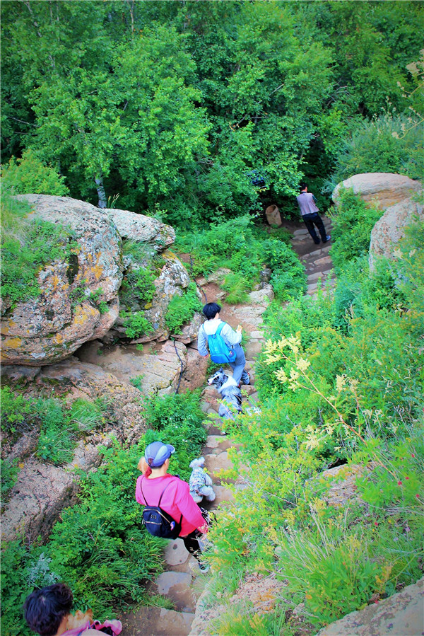 活动回顾|欧帝亿主题狗狗巴士察哈尔草原深处探秘万年火山