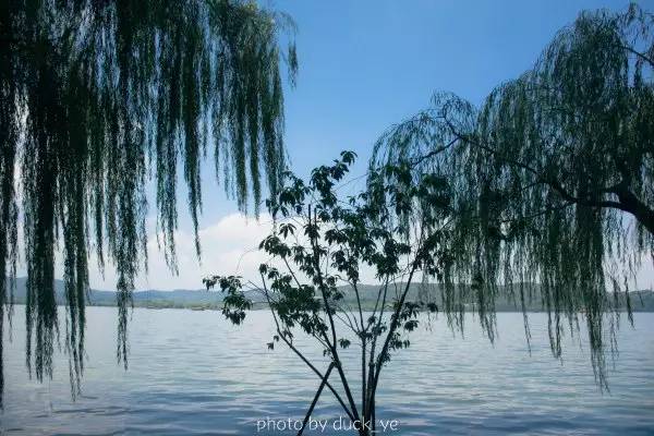 来了不想再去的地方,来了不想走再次邂逅西域风情