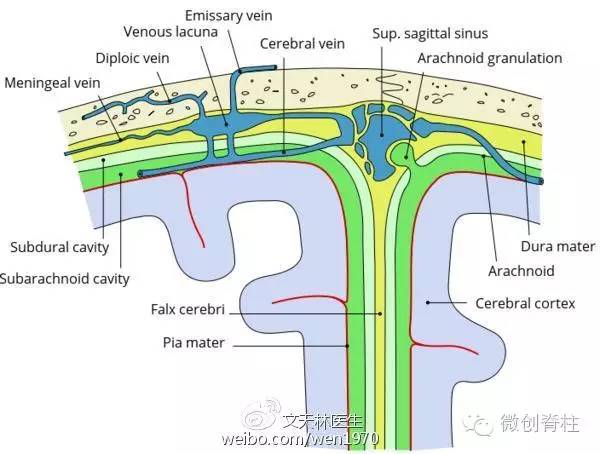 脊柱手术脑脊液漏多久愈合,腰椎手术后脑脊液漏能自我修复吗