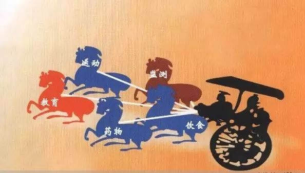 向红丁细说糖尿病书籍,向红丁晚年得糖尿病