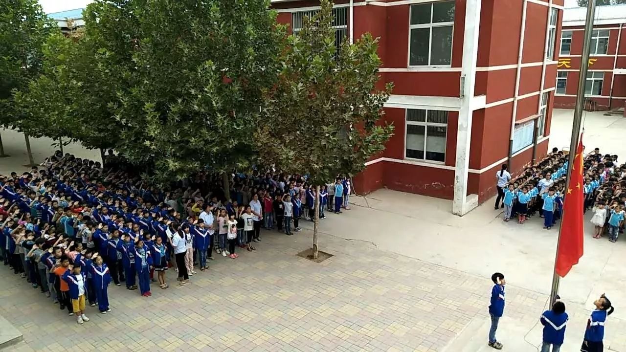 「管理经」练书法，打太极，习拳术传统文化进课堂，他们不遗余力……