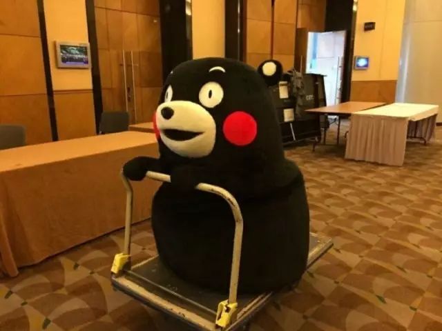 空瓶记贵妇精华测评,值得入手的小白瓶有哪些