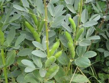 聚焦目标砥砺前行,聚焦责任意识增强责任担当