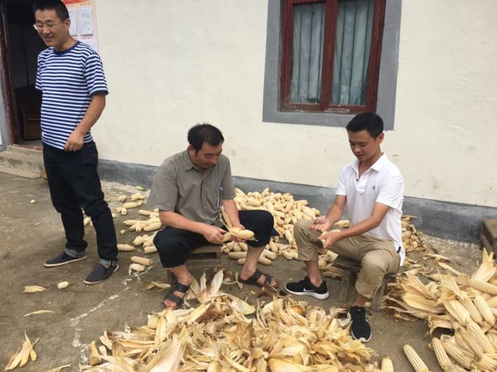 援藏工作动态第七期,援藏动态