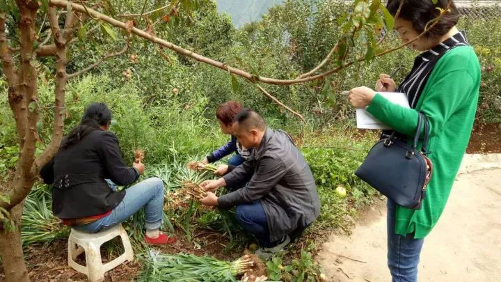 援藏工作动态第七期,援藏动态