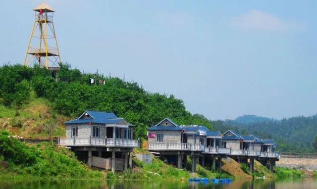 银杏舞,醉深秋|送您最新赏杏精品自驾游线路!