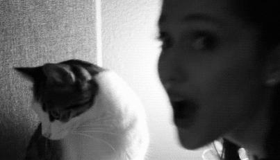 解惑你的疑难杂症,解惑你的所有问题