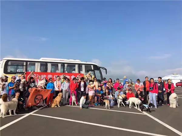 活动回顾|欧帝亿主题狗狗巴士察哈尔草原深处探秘万年火山