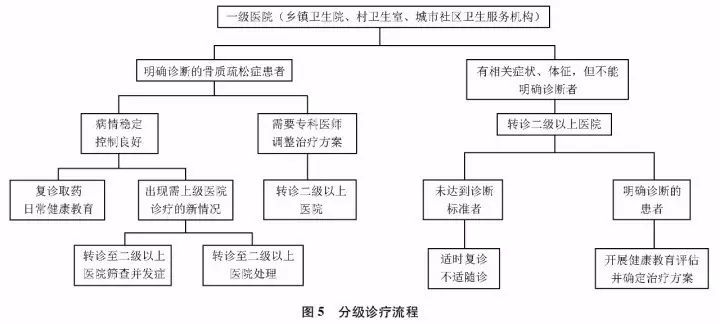 原发性骨质疏松症基层诊疗指南,原发性骨质疏松诊疗指南2018