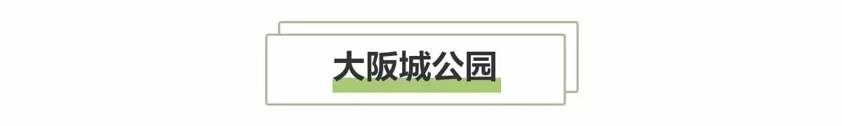 日本8月5日淀川花火大会观赏攻略,2023淀川花火大会个人视角全记录