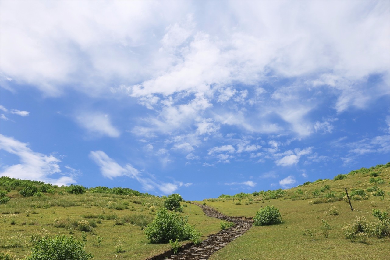 日本8月5日淀川花火大会观赏攻略,2023淀川花火大会个人视角全记录