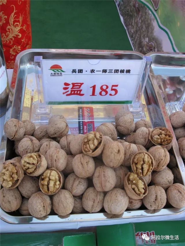 阿拉尔之歌原唱完整版,阿拉尔作品