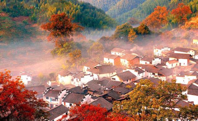 吃了酵素肚子咕咕拉肚子,吃酵素每天都拉肚子