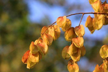 又是一年中秋月恰逢团圆好时节,又是一年中秋团圆时