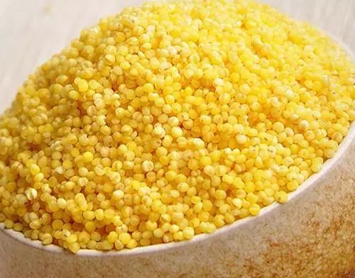 菘蓝开花,菘蓝花开