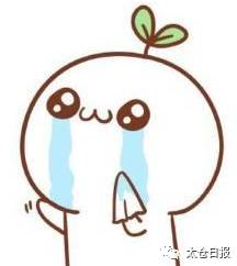 真会玩!没想到,太仓也有这么好玩的创意市集!