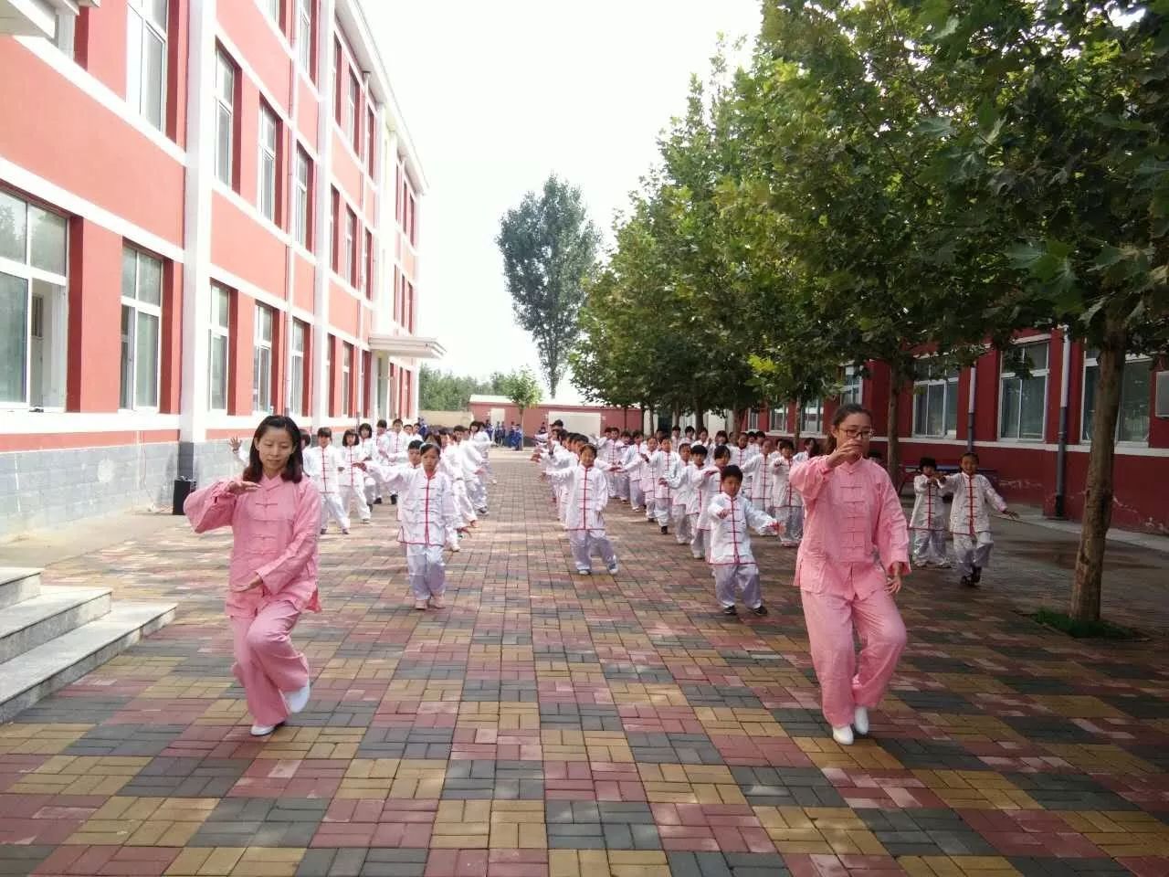 「管理经」练书法，打太极，习拳术传统文化进课堂，他们不遗余力……