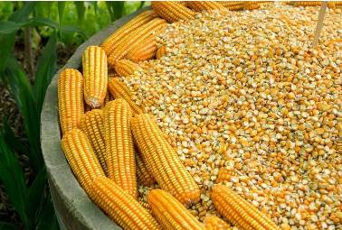 聚焦目标砥砺前行,聚焦责任意识增强责任担当