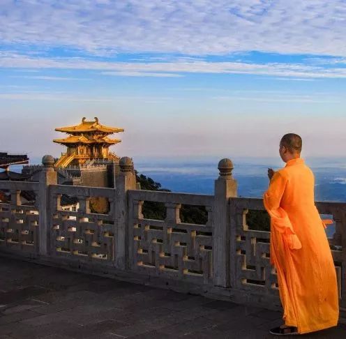 银杏舞,醉深秋|送您最新赏杏精品自驾游线路!