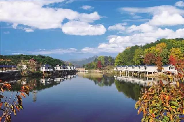 银杏舞,醉深秋|送您最新赏杏精品自驾游线路!