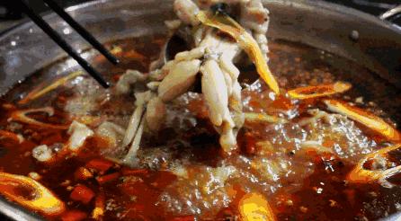 广安美蛙鱼头火锅推荐,九鼎美蛙鱼头火锅广安平安大道