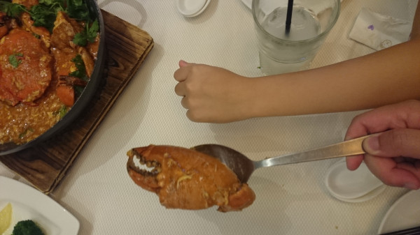 亲子游新加坡旅游攻略推荐,新加坡自由行亲子攻略2015