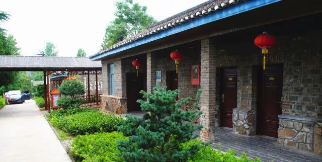 银杏舞，醉深秋｜送您最新赏杏精品自驾游线路！