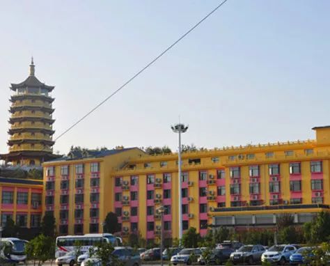 银杏舞,醉深秋|送您最新赏杏精品自驾游线路!