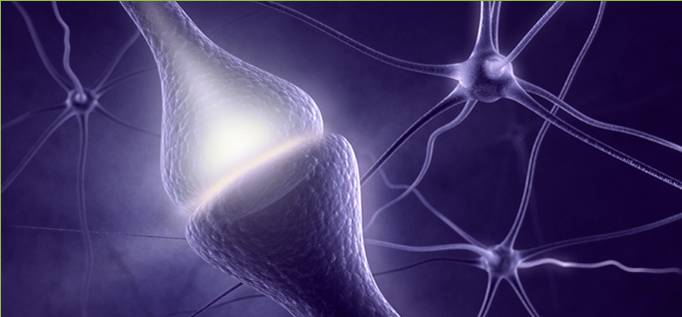 《柳叶刀》子刊:MIT大牛科学家发明神奇功能饮料,可显著延缓早期阿尔茨海默病患者认知衰退|临床大发现