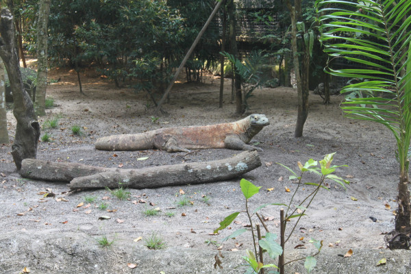 亲子游新加坡旅游攻略推荐,新加坡自由行亲子攻略2015