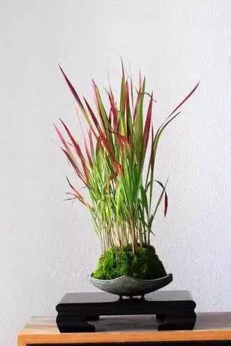 一花一世界一草一天堂一叶一菩提,一花一世界一草一天堂歌曲