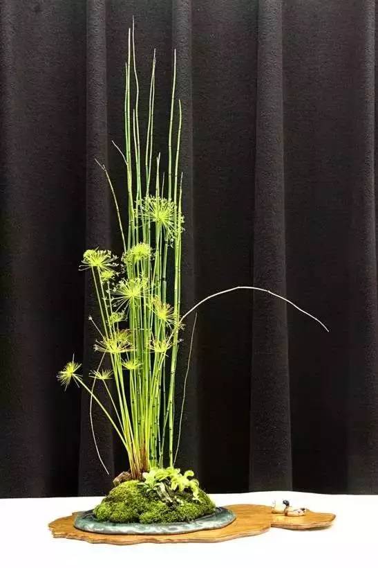 一花一世界一草一天堂一叶一菩提,一花一世界一草一天堂歌曲