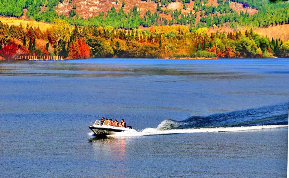 全体淮北人:赶紧来看她最后一眼,要不得再等一年!