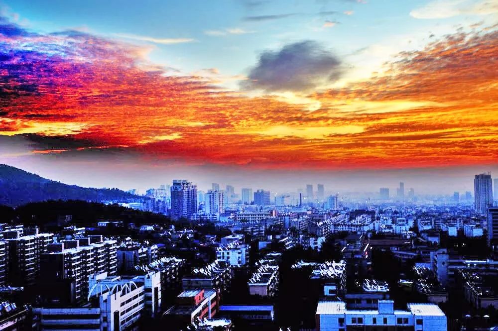 全体淮北人:赶紧来看她最后一眼,要不得再等一年!