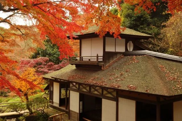 横滨三溪园值得去吗,三溪园景点