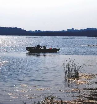银杏舞,醉深秋|送您最新赏杏精品自驾游线路!
