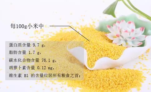 菘蓝开花,菘蓝花开