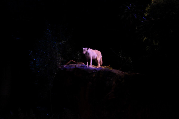 亲子游新加坡旅游攻略推荐,新加坡自由行亲子攻略2015