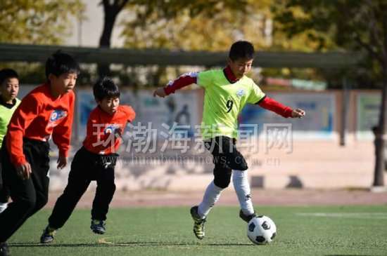 唐山市第五届金凤凰杯足球赛冠军,中国青少年足球比赛唐山赛区