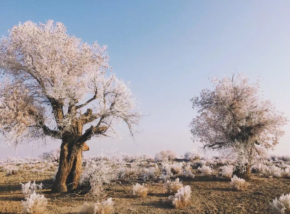 我的地质工作日记,豆瓣日记怎么编辑