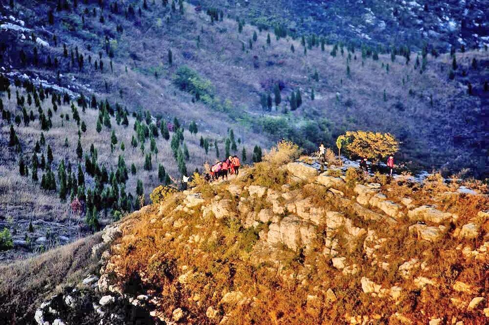 全体淮北人：赶紧来看她最后一眼，要不得再等一年！