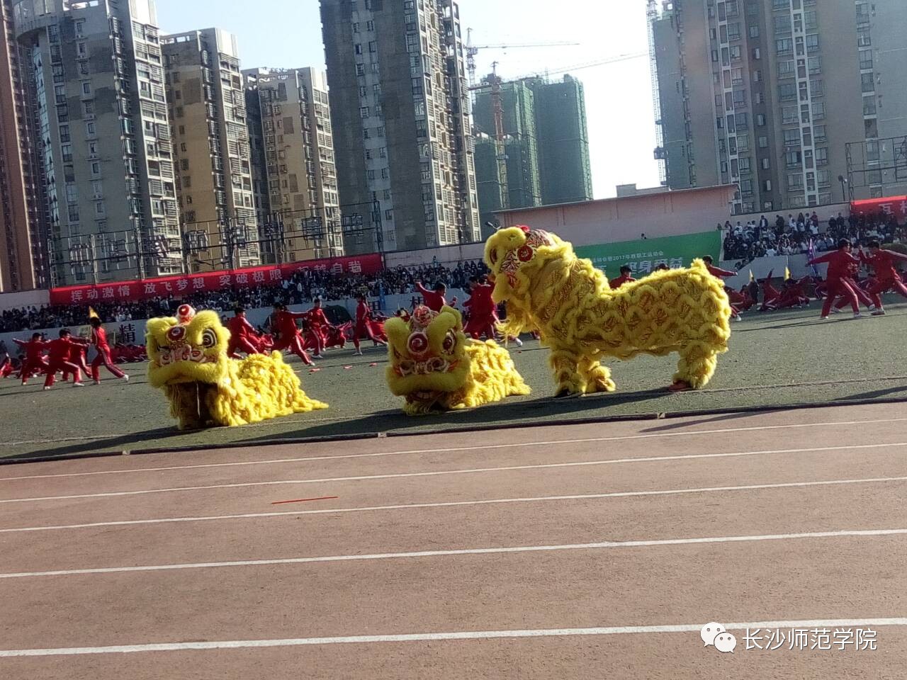 你昨天的朋友圈里还差一张动图~