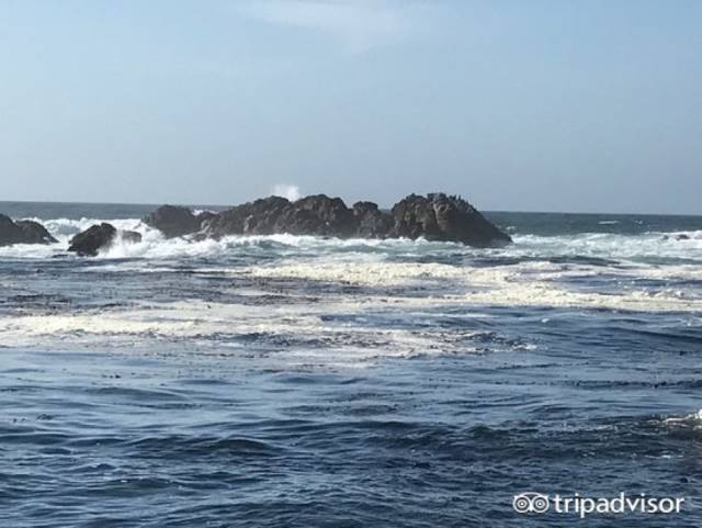 美国旅游自驾好还是坐车好,自驾游去美国去哪个国家最好