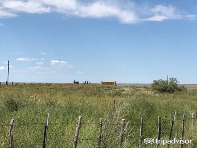 美国旅游自驾好还是坐车好,自驾游去美国去哪个国家最好