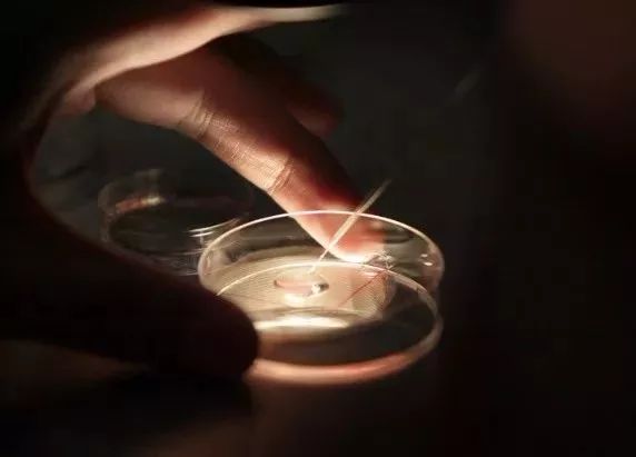 小生命的真实存在,小生命怎么开始的