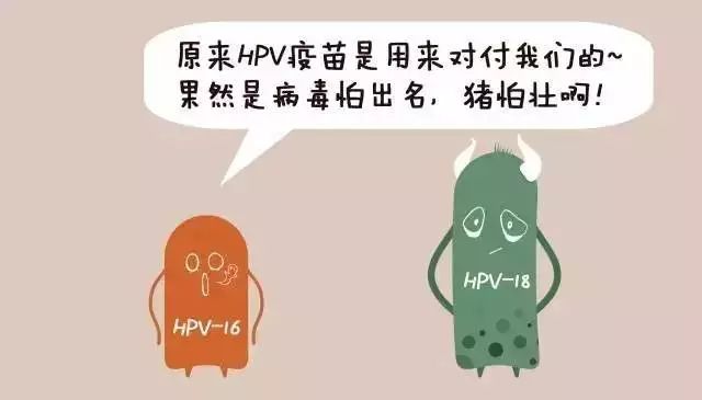 珠海预约四价hpv疫苗首针怎么预约,河北沧州四价hpv疫苗怎么网上预约